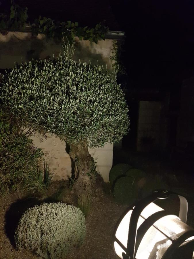 Le Clos Falaw Azay-sur-Cher Buitenkant foto